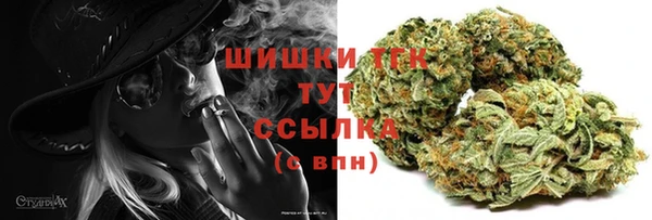 стафф Богданович