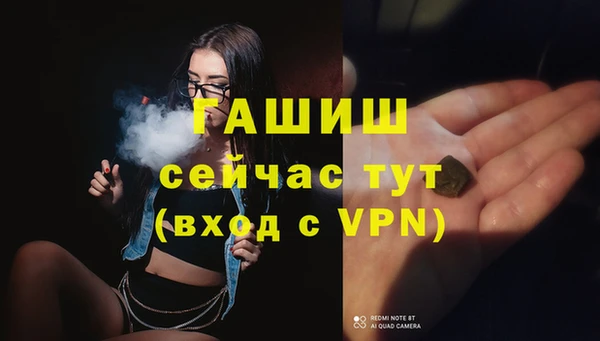 стафф Богданович