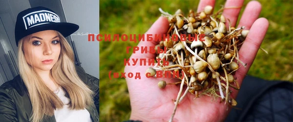 гидропоника Богородицк