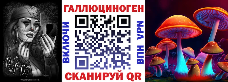 OMG маркетплейс  Саяногорск  Галлюциногенные грибы Psilocybine cubensis 